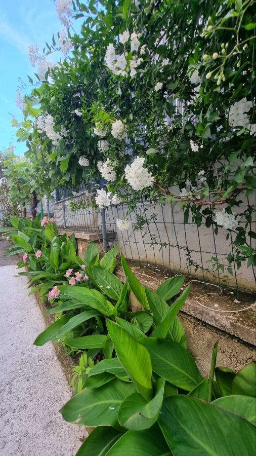 Gasthof Jasmin 3*