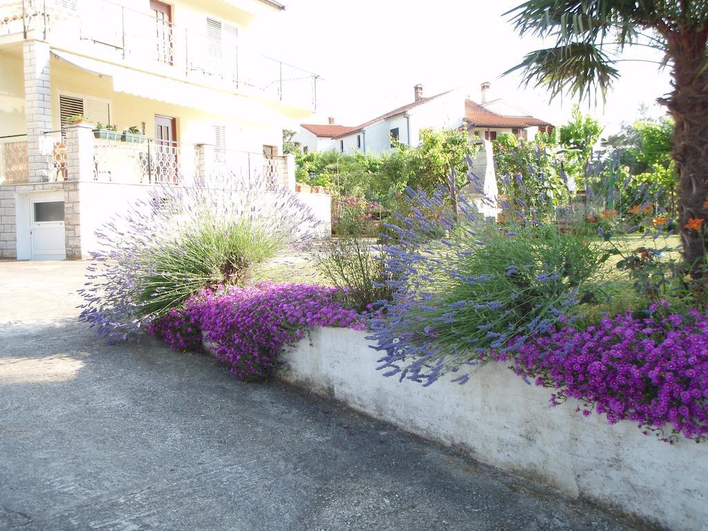 Jasmin Rovinj
