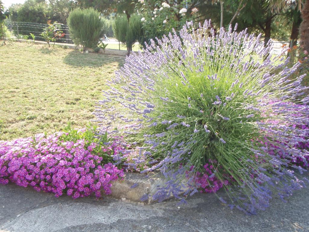 Gasthof Jasmin 3*